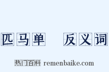 匹马单槍反义词是什么意思的图片